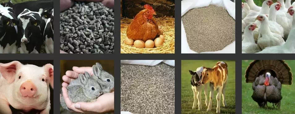 Бройлерный комбикорм